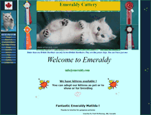 Tablet Screenshot of emeraldy.com